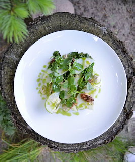 Gourmet Salad on White Plate