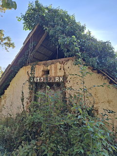 Abandoned yellow house with crumbling walls, overgrown with plants and trees growing from damaged roof