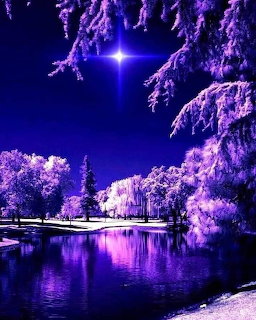 Purple-tinted winter landscape with frosted trees reflecting in a tranquil lake at night under a bright star