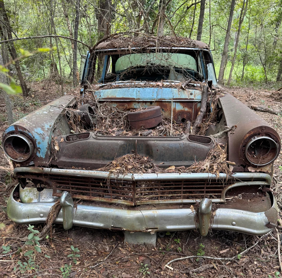 Front view of an abandoned rusty 1956 Ford Fairlane sedan in the woods covered with leaves and branches