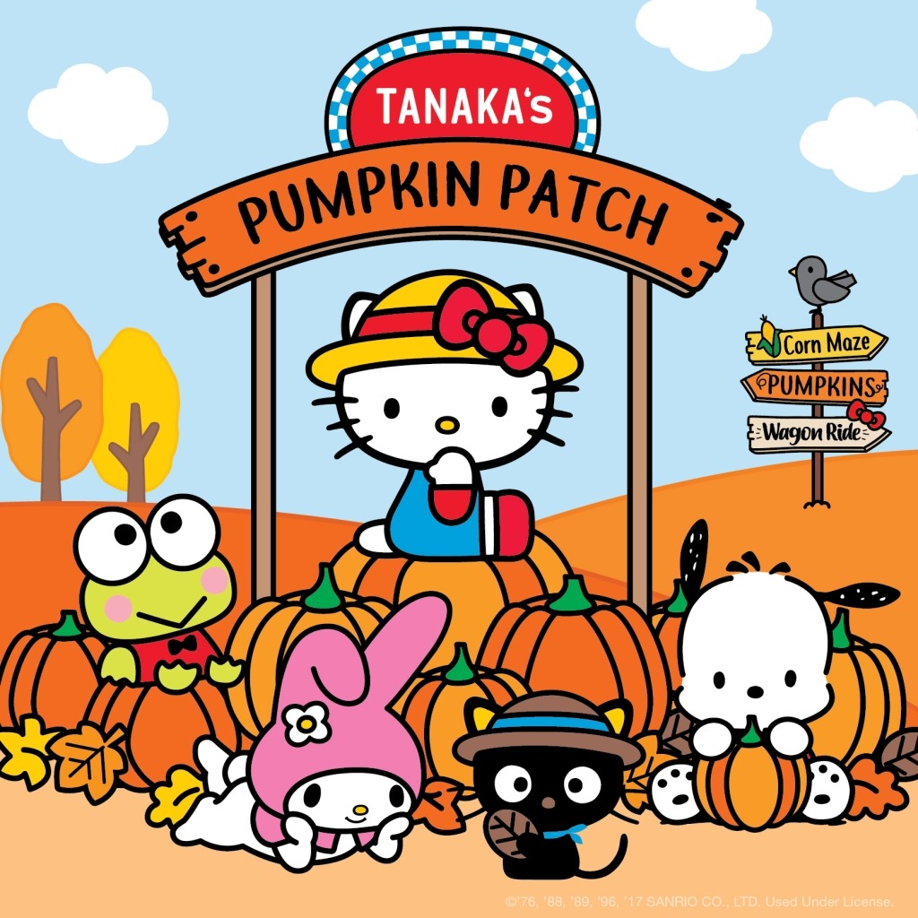 Hello Kitty Pumpkin Patch