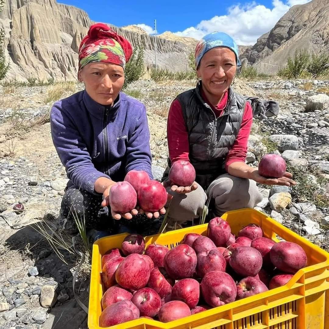 Two women holding apples with a yellow crate full of red apples in a mountainous desert landscape
