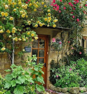 Stone cottage doorway with climbing yellow and pink roses, hollyhocks, and lush garden plants