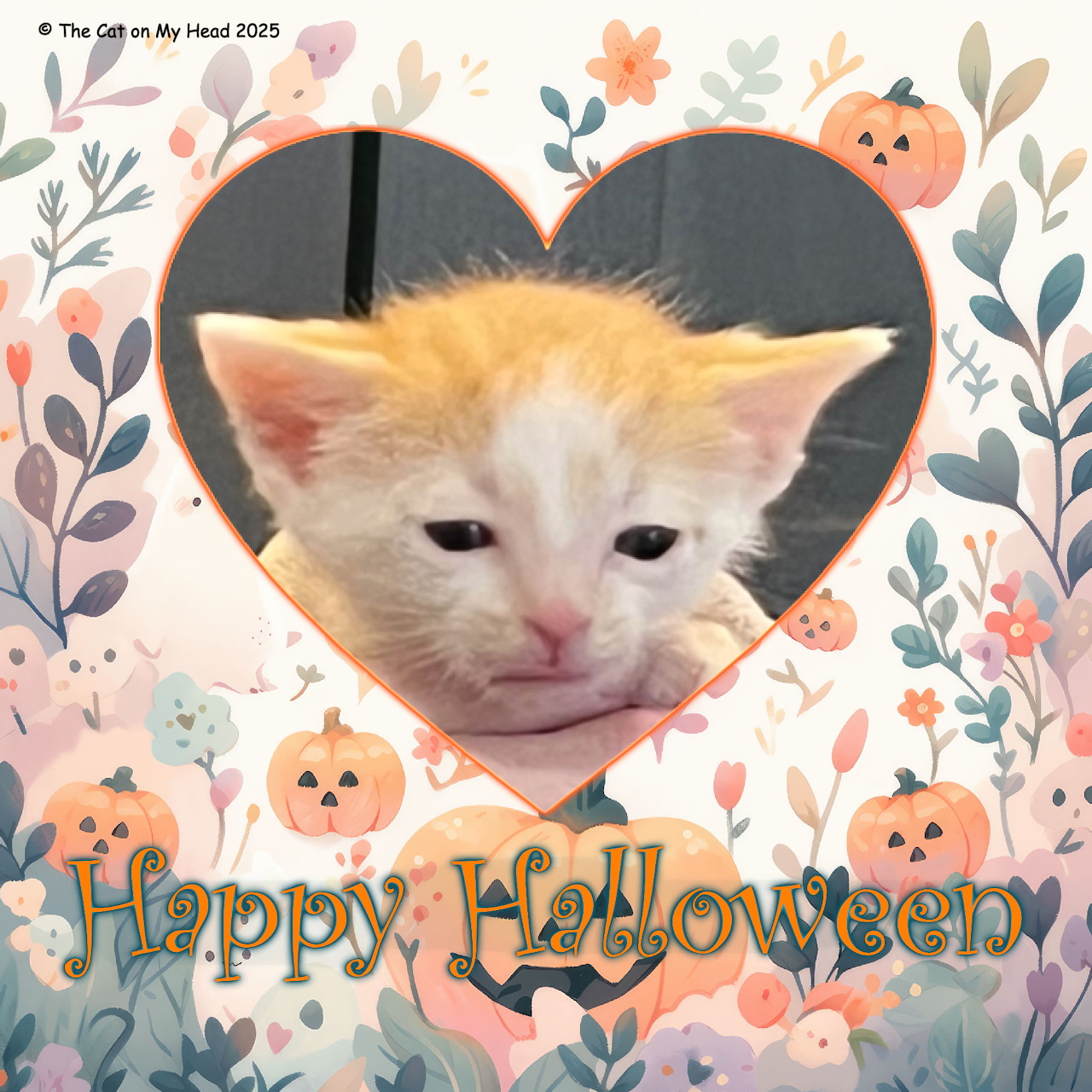 Halloween Kitten Baby Yoda