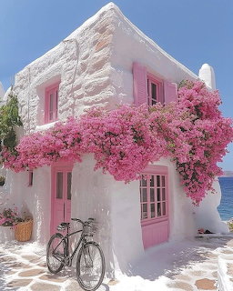 Greek White House Pink Bougainvillea