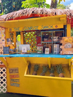 Yellow tropical food shack called The Sunrise Shack with thatched roof and pineapples on counter