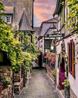 Narrow cobblestone alley with ivy-covered half-timbered buildings and flower boxes in a European village