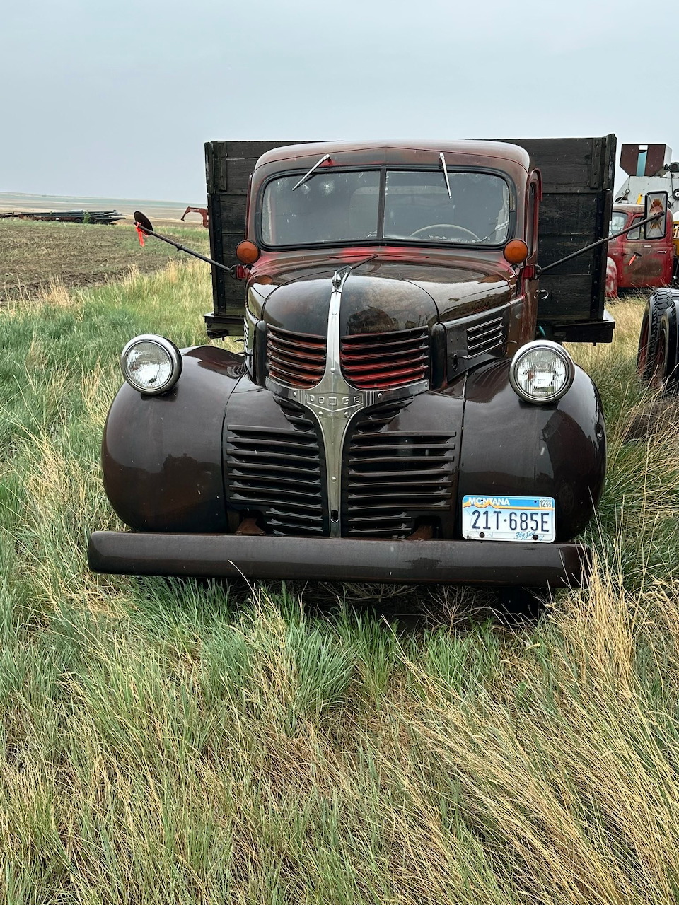 Rusted vintage 1940s Dodge truck parked in tall grass on a farm field