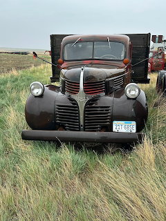 Vintage Dodge Truck Field