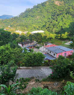 Small village houses surrounded by trees beneath a green mountain hillside