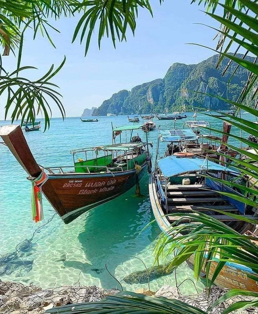Thailand Longtail Boats