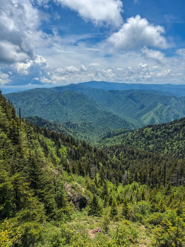 Panoramic view of lush green forested mountains and ridges under a partly cloudy sky