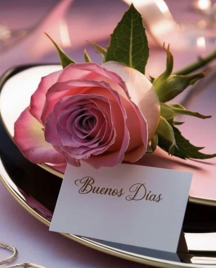 Pink rose with white edges on gold plate next to Buenos Dias card