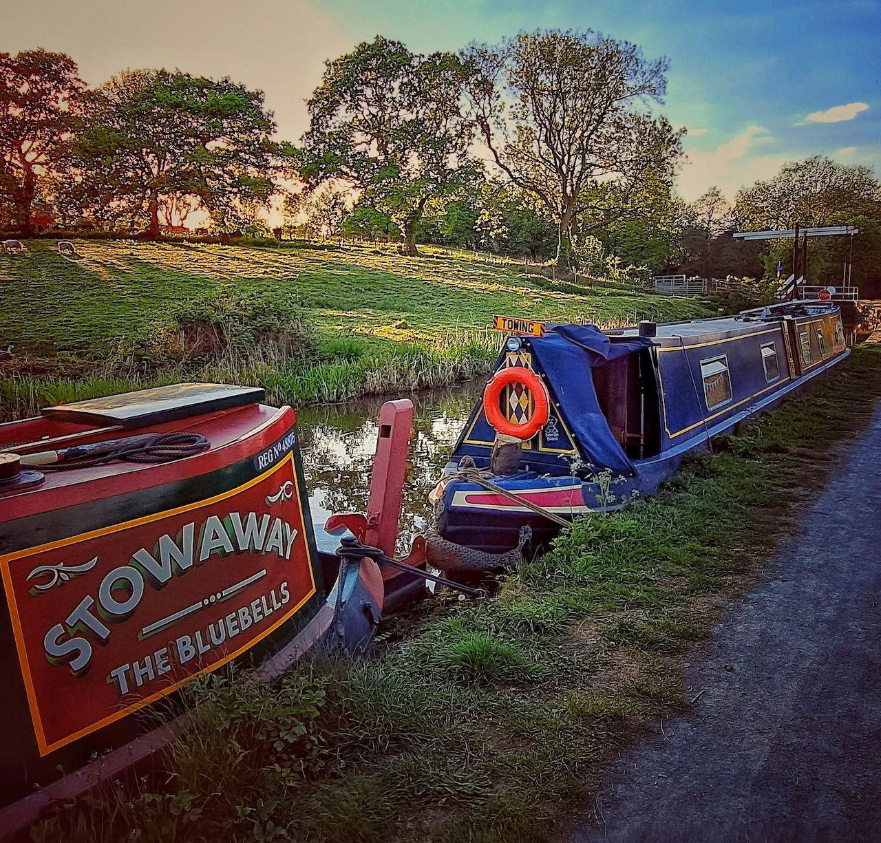 Red and blue narrowboats moored on grassy canal bank under trees