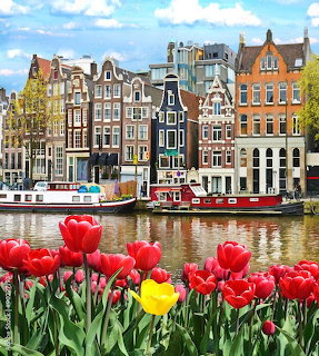 Red tulips in foreground with Amsterdam canal houses and boats in the background