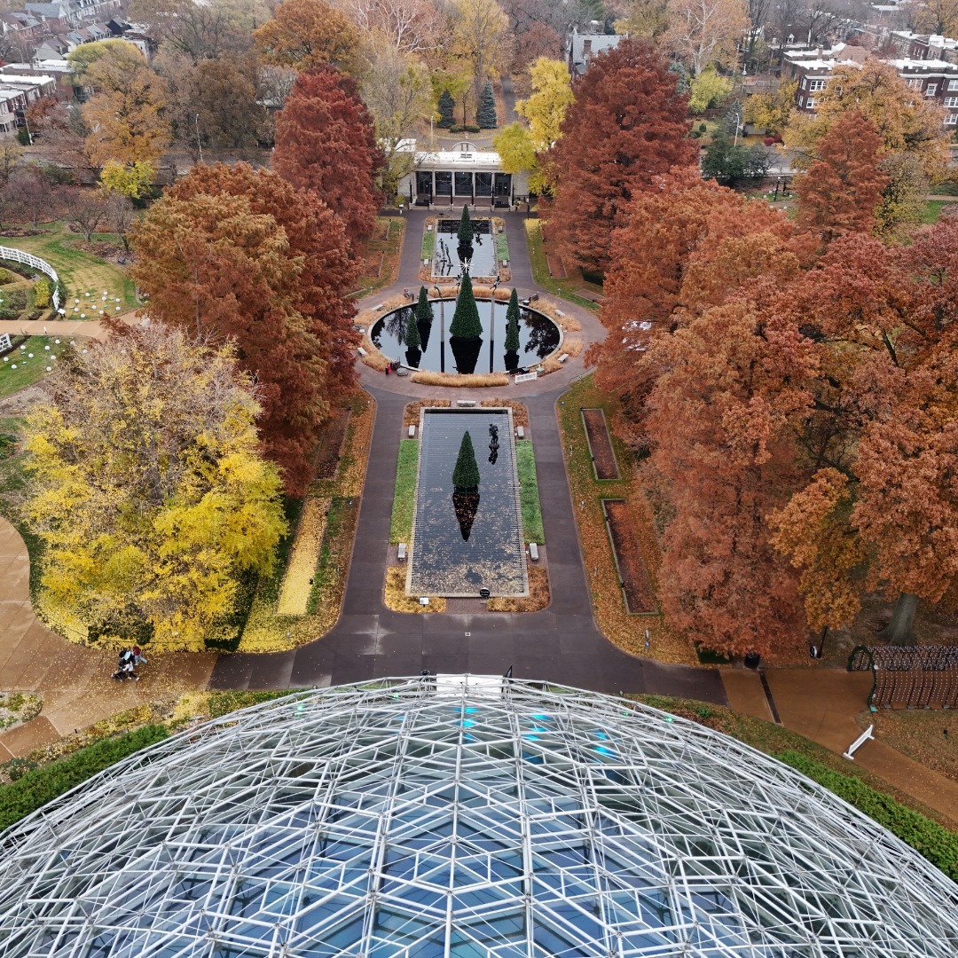 Missouri Botanical Garden Autumn Aerial