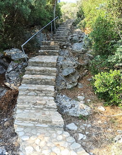 Stone steps leading uphill between rocks and green shrubs