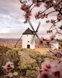 White windmill on rocky hill framed by pink cherry blossoms with Spanish town in background