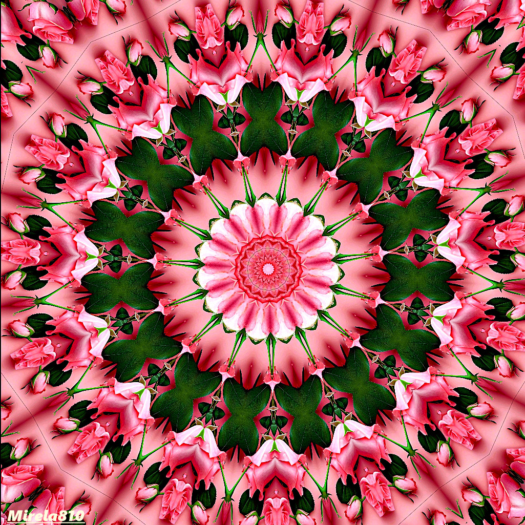 Circular mandala pattern with pink flowers, green leaves, and white center in radial symmetry