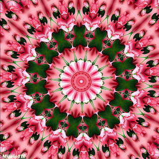 Pink Floral Mandala