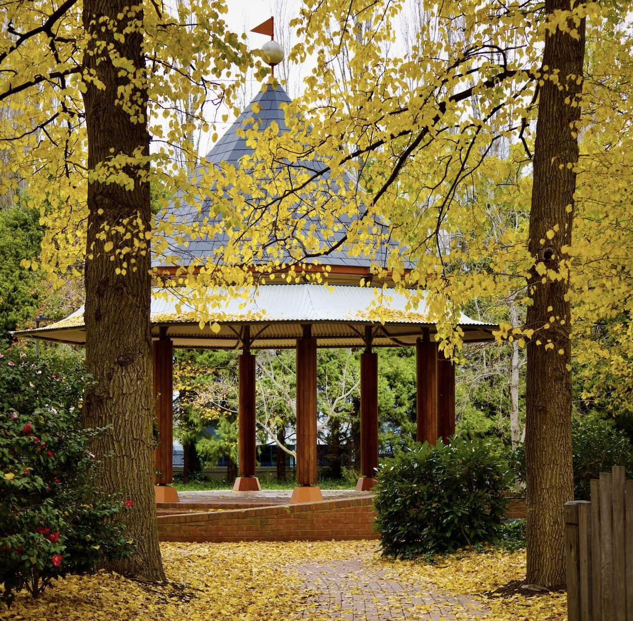 Gazebo in a park surrounded by tall trees and golden autumn leaves
