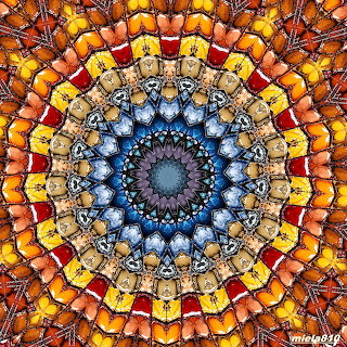 Colorful Floral Mandala Pattern