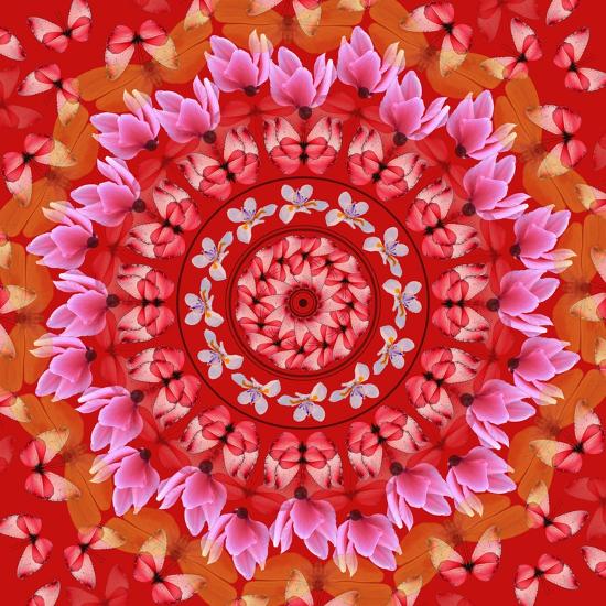 Symmetrical mandala made of pink and red flower petals in concentric circles