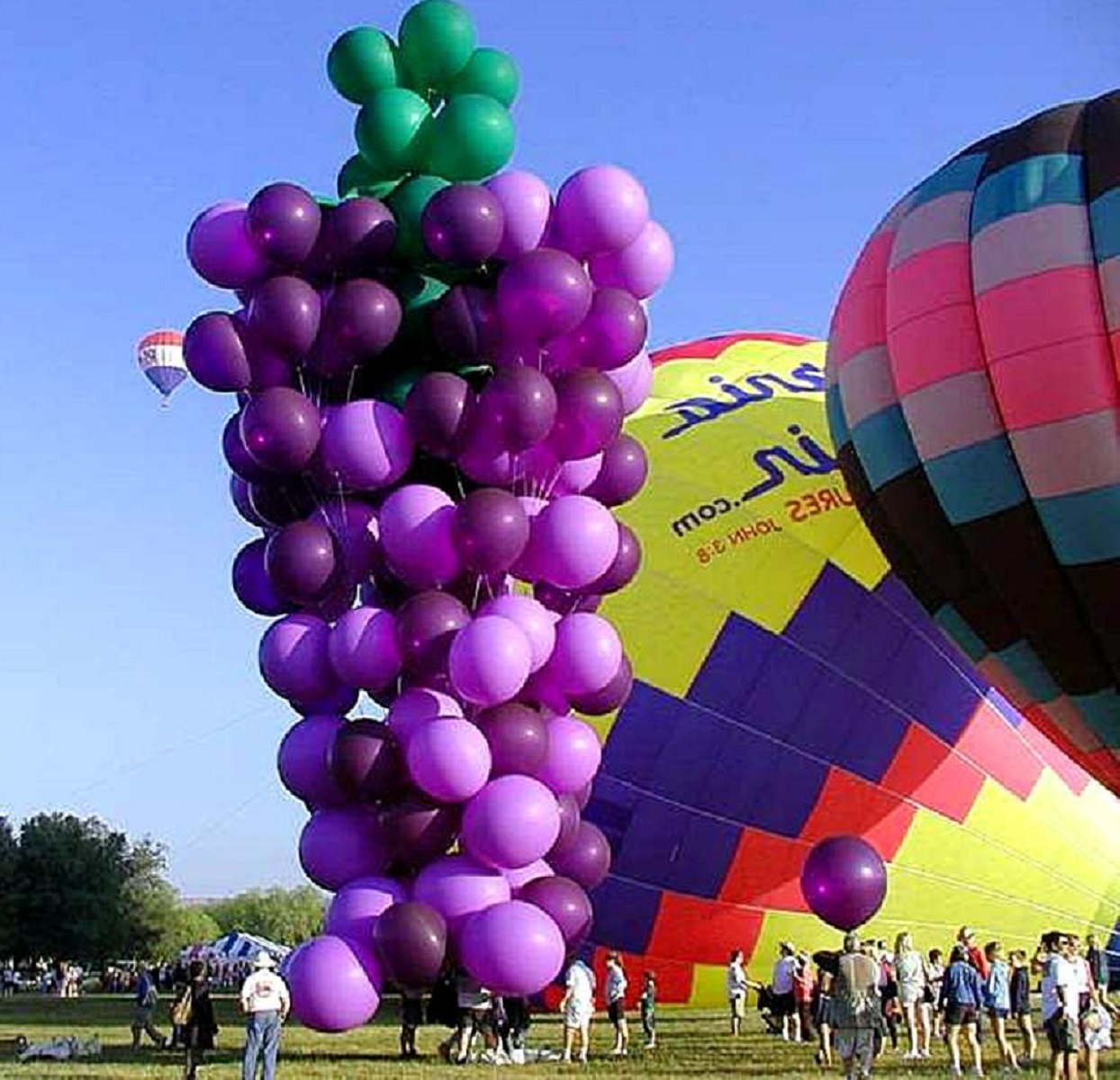 Large purple and green balloon sculpture shaped like grapes at outdoor festival with hot air balloons