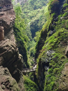Green Ravine Boardwalk