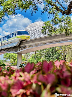 Disney monorail traveling on elevated track past Epcot's Spaceship Earth dome with flowers and trees in foreground
