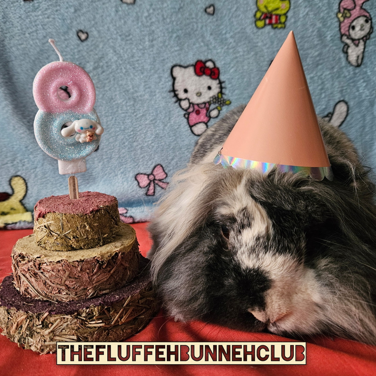 Fluffy black and white rabbit wearing a pink party hat next to a small birthday cake with a number 8 candle