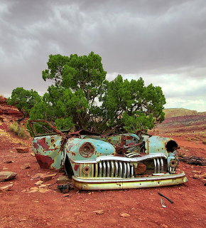 Rusty abandoned vintage sedan front in a red desert with a green tree under cloudy skies.