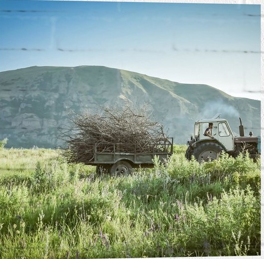 Tractor pulling a trailer of branches in a grassy field with a mountain behind