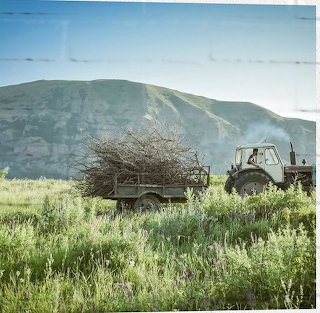 Tractor in Field