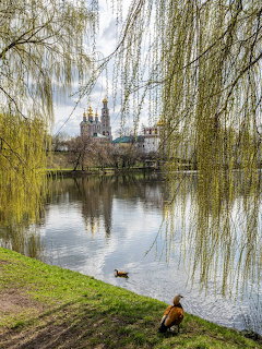 Person sitting by lake under willow tree, castle and church visible across water