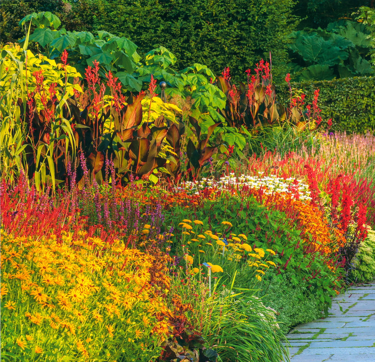 Colorful garden bed with red, orange, yellow flowers, tropical plants, and grasses beside a paved path