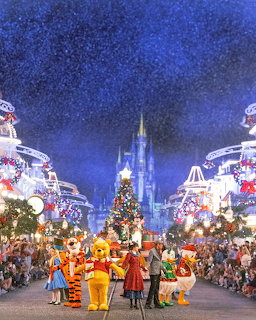 Cinderella Castle Christmas Night