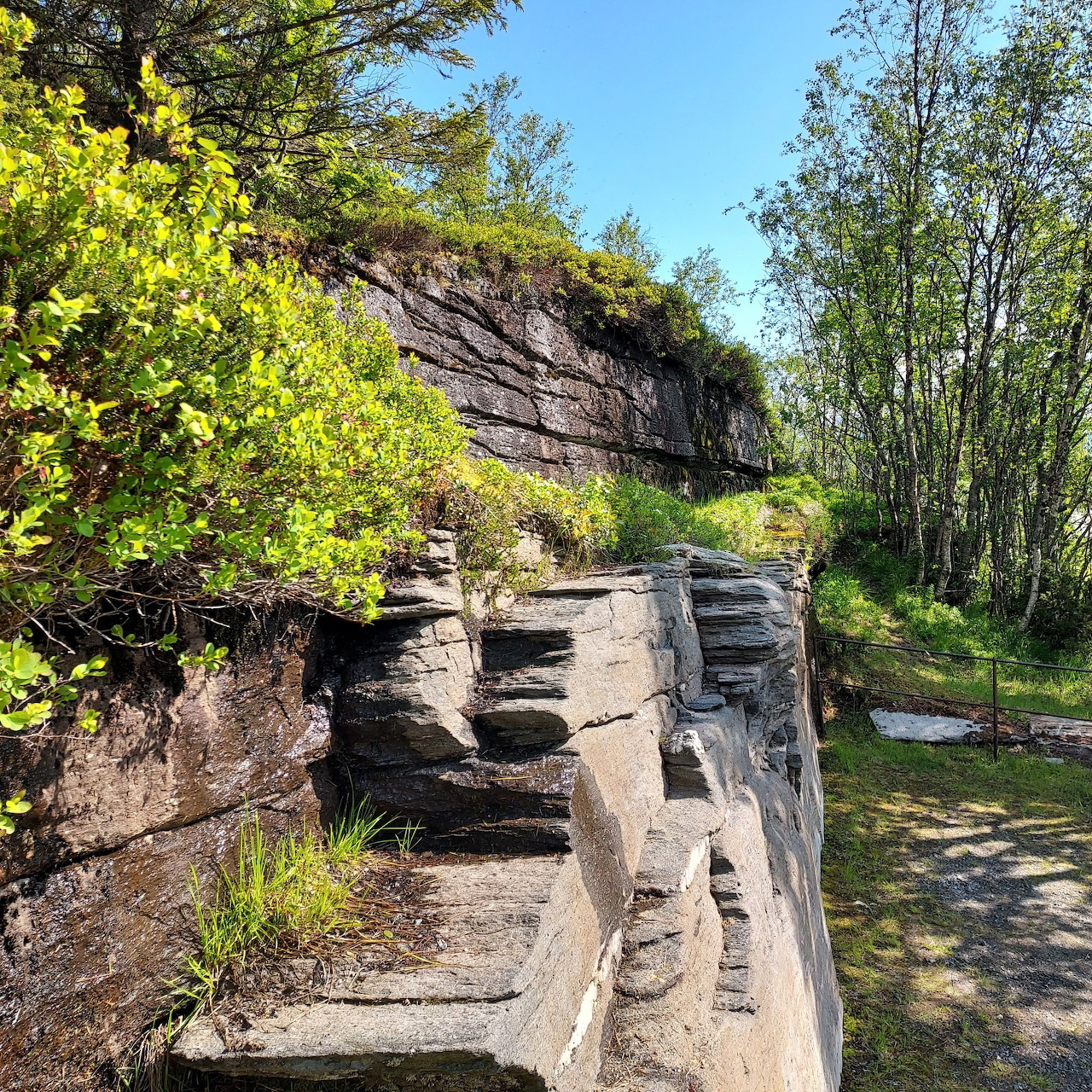 Layered rock cliff with moss and green shrubs alongside a path with birch trees and blue sky