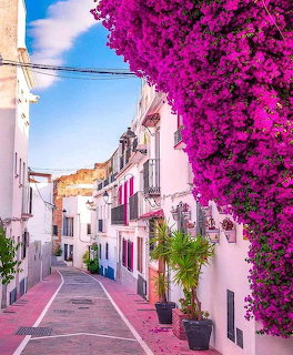 Narrow street with white buildings and bright pink bougainvillea on the right