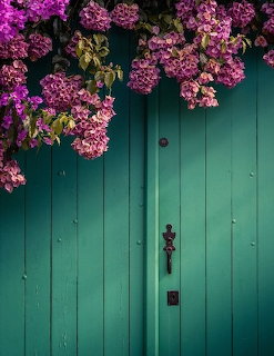 Pink flowers drape over a teal-green wooden wooden door