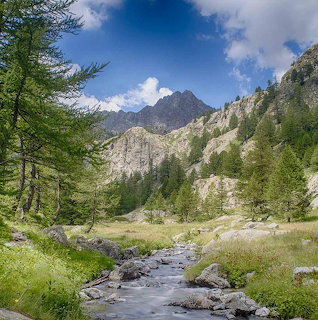 Mountain stream flowing through alpine valley with rocky peaks and pine trees
