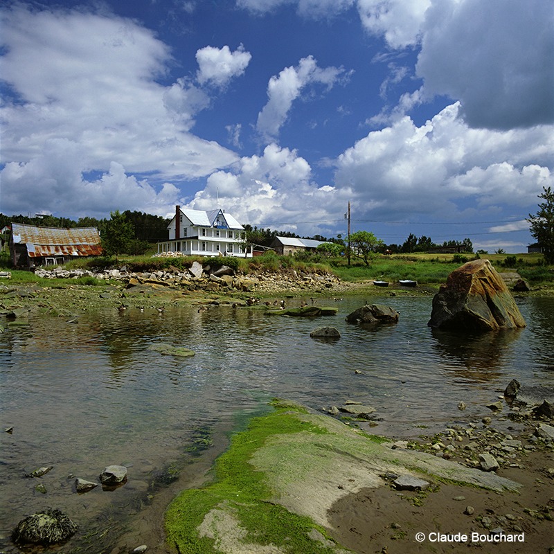 Houses by a rocky shoreline at low tide under a blue sky with large white clouds