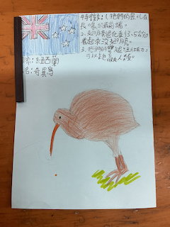Child's drawing of a brown kiwi bird with New Zealand flag and Chinese handwriting on paper