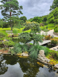 Garden pond with ornamental grasses, water plants, rocks, and trees under cloudy sky