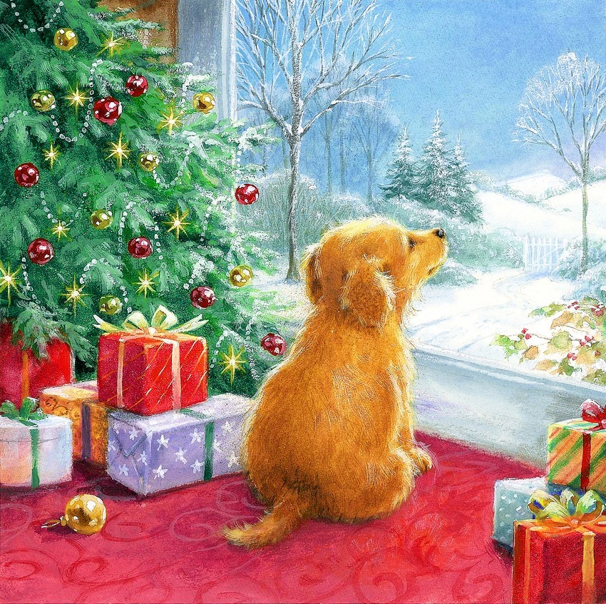 Golden dog sitting indoors by window overlooking snowy scene, Christmas tree with ornaments and wrapped presents beside it