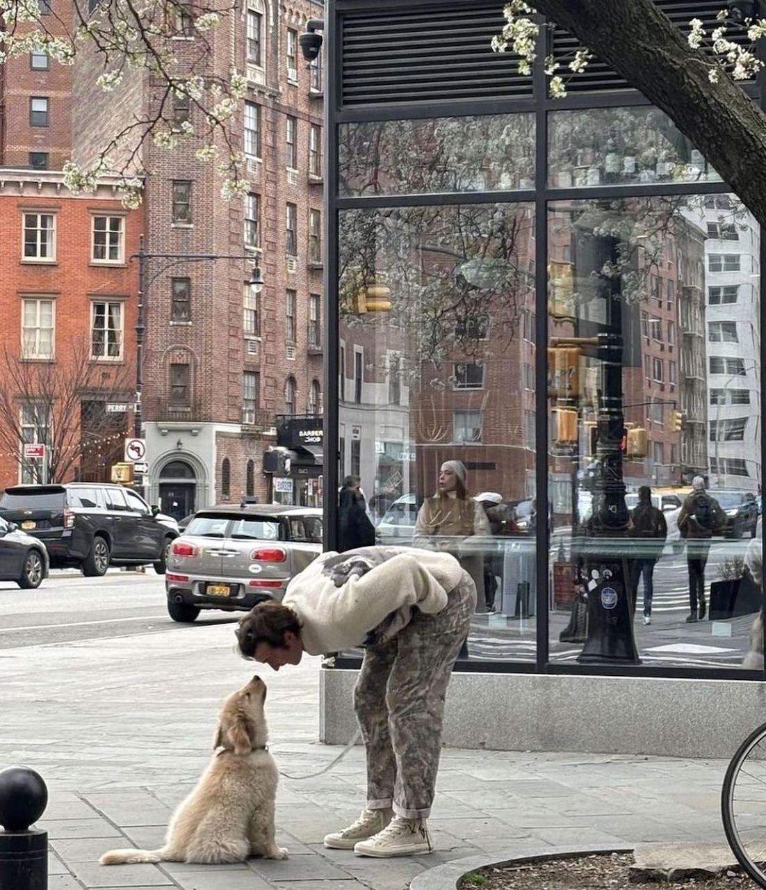 Person and Dog City Street