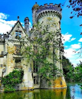 Overgrown ruined castle tower with ivy and vegetation surrounded by moat