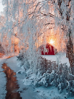 Winter Cottage by Frozen Creek
