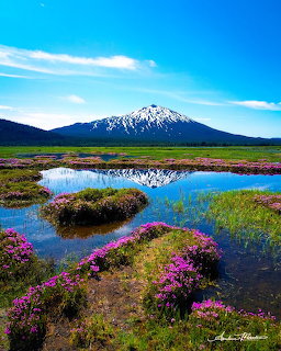 Mt Bachelor Mountain Landscape