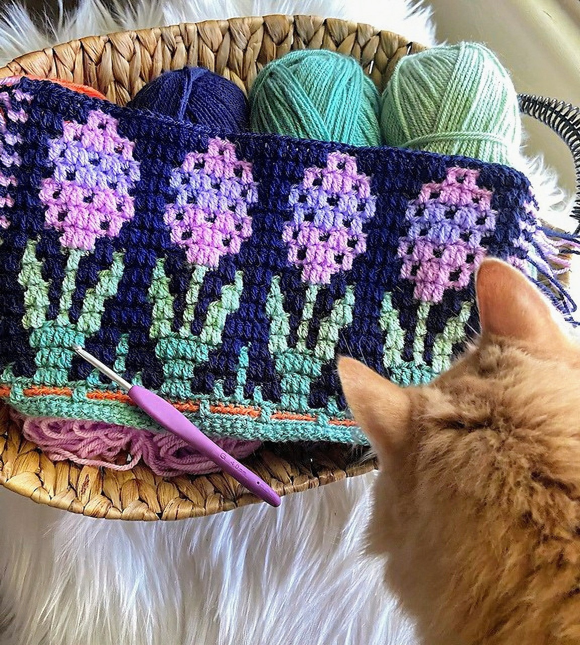 Cat Yarn and Crochet